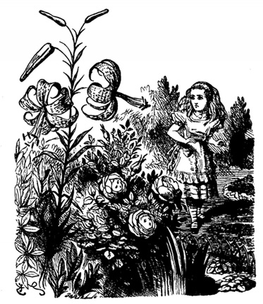 Original drawing by John Tenniel with Alice exploring'The Garden of Live