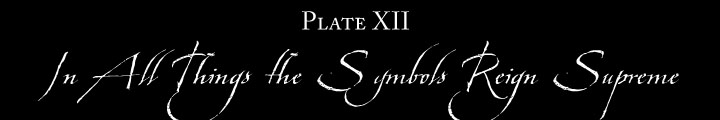 Plate XII: In All Things the Symbols Reign Supreme