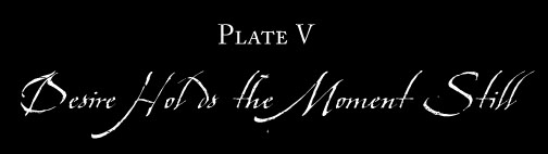 Plate V: DESIRE HOLDS THE MOMENT STILL