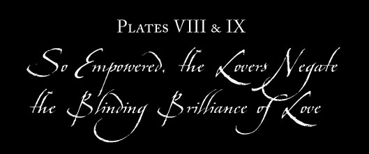 Plate VIII & IX: Diptych